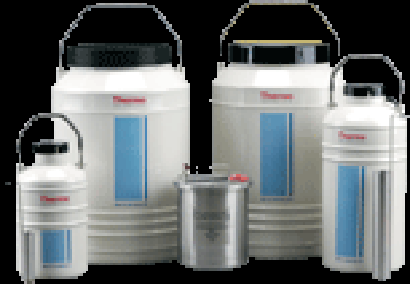 LN2 STORAGE -196°C