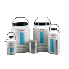 ARCTIC EXPRESS DUAL 20